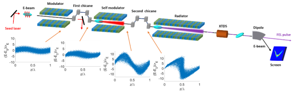 軟X射線自由電子激光裝置實驗研究取得進展